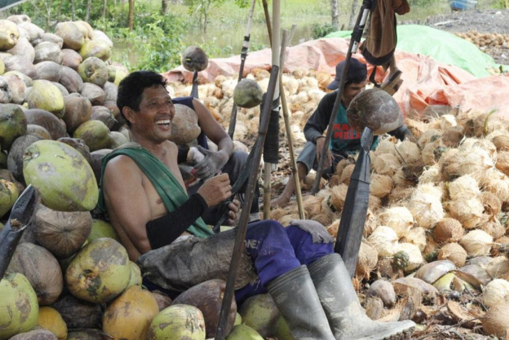 daging kelapa Bogor