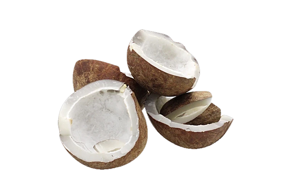 kopra